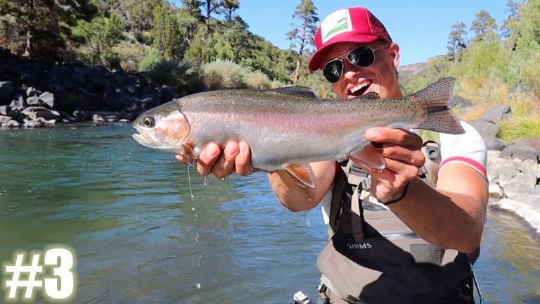 New Mexico Fishing