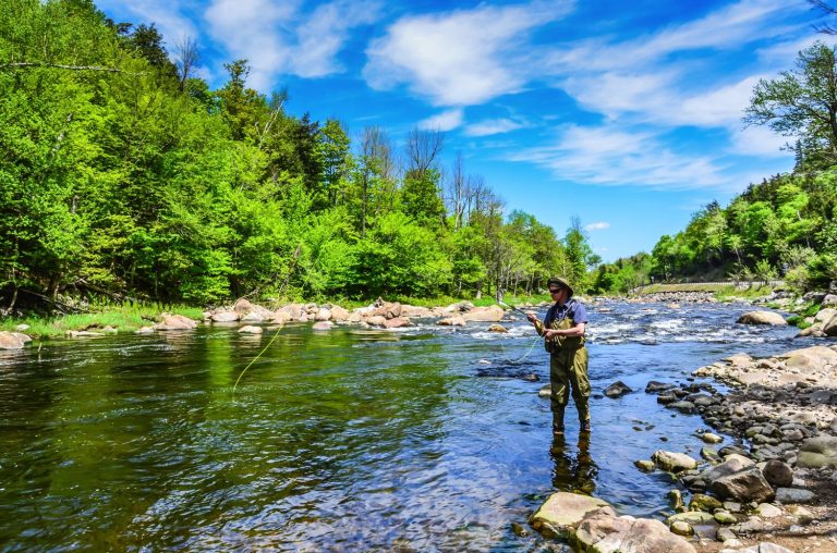 New York Fishings