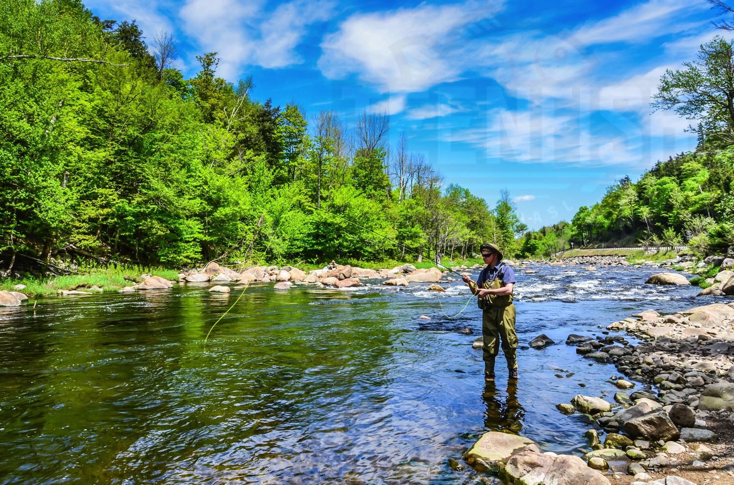 New York Fishings