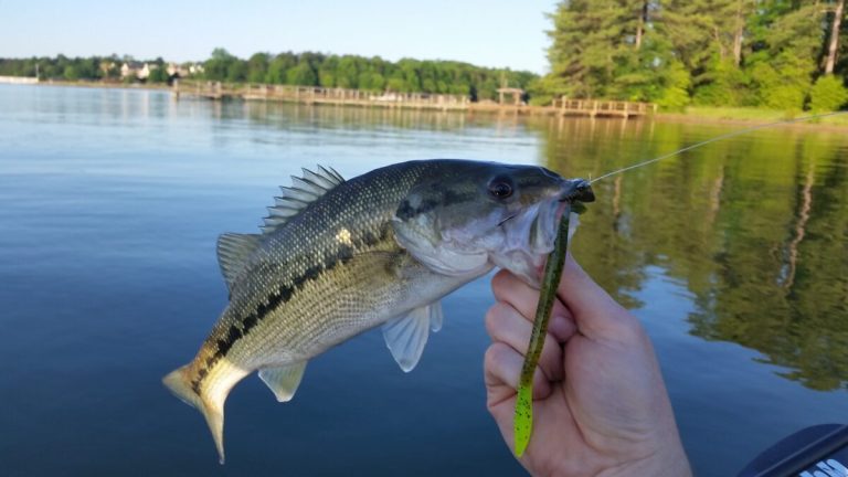 North Carolina fishing