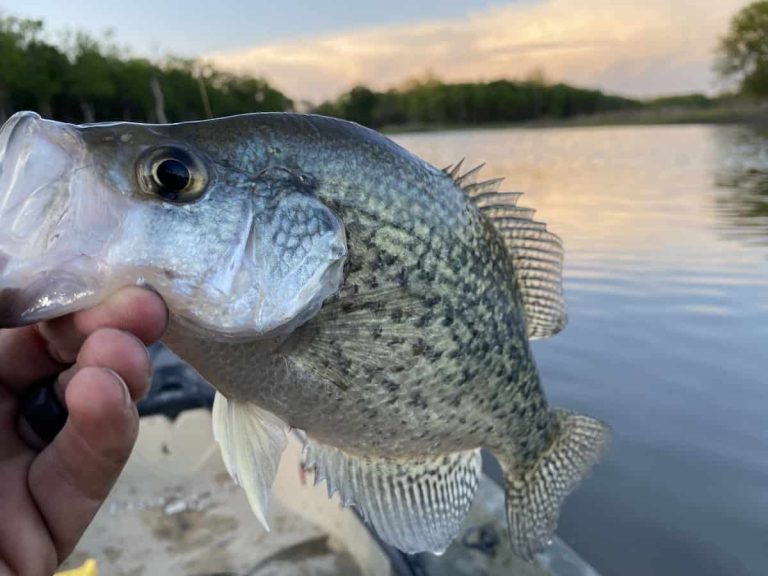 Oklahoma Fishing