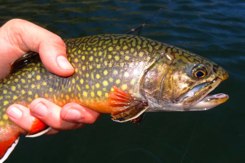 Pennsylvania Fishing