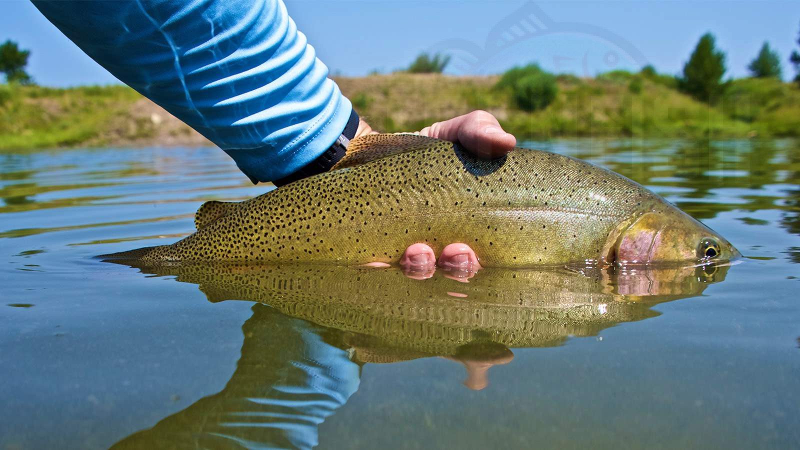 Wyoming Fishing