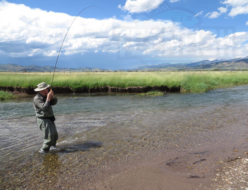 Wyoming Fishing