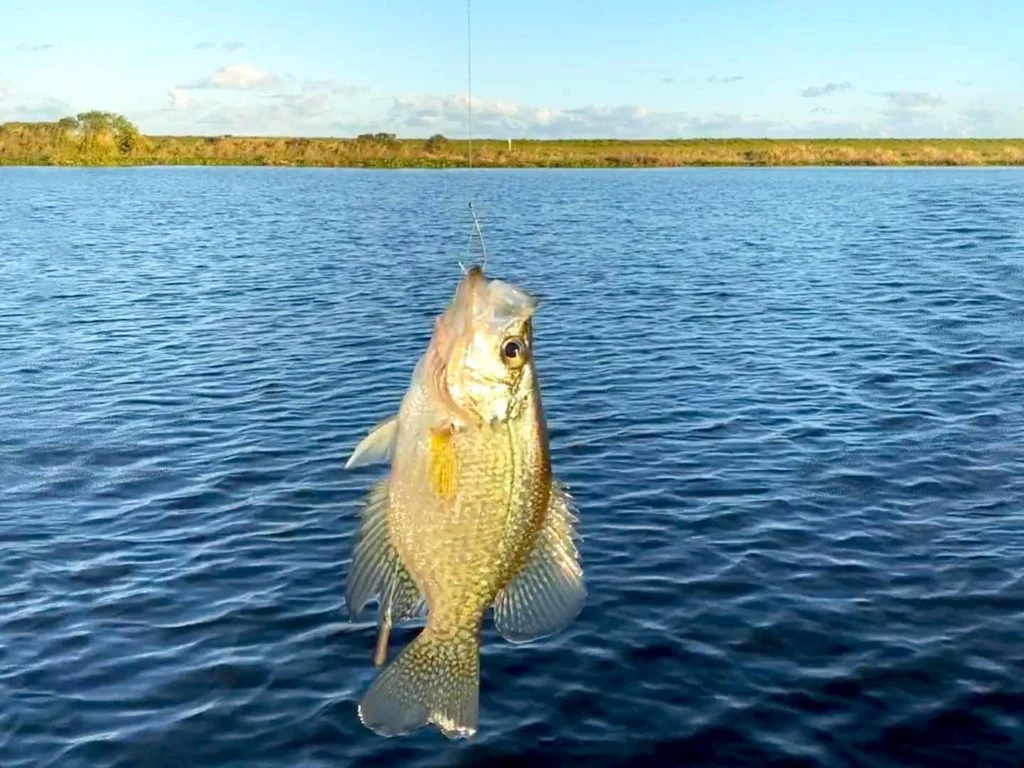 Fishing in Texas: Your Complete Guide to License Requirements - TeenFish