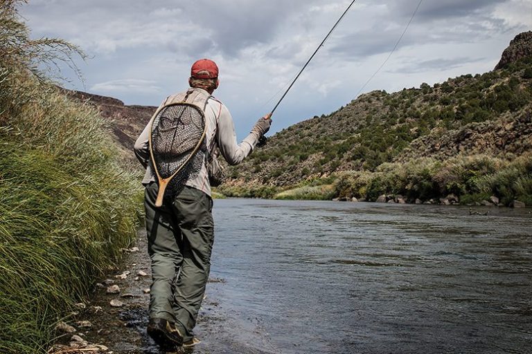 Best Seasons for Fishing in New Mexico