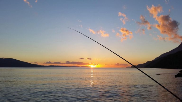 California's Lifetime Fishing