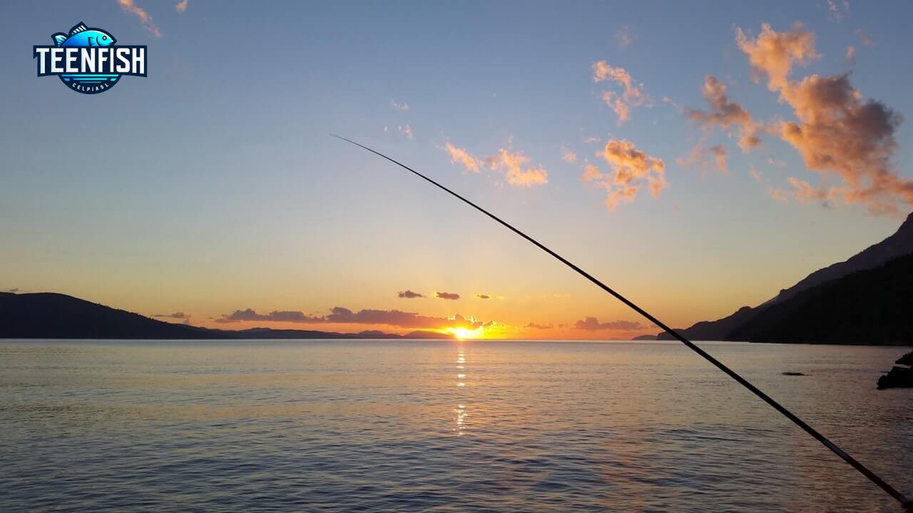 California's Lifetime Fishing