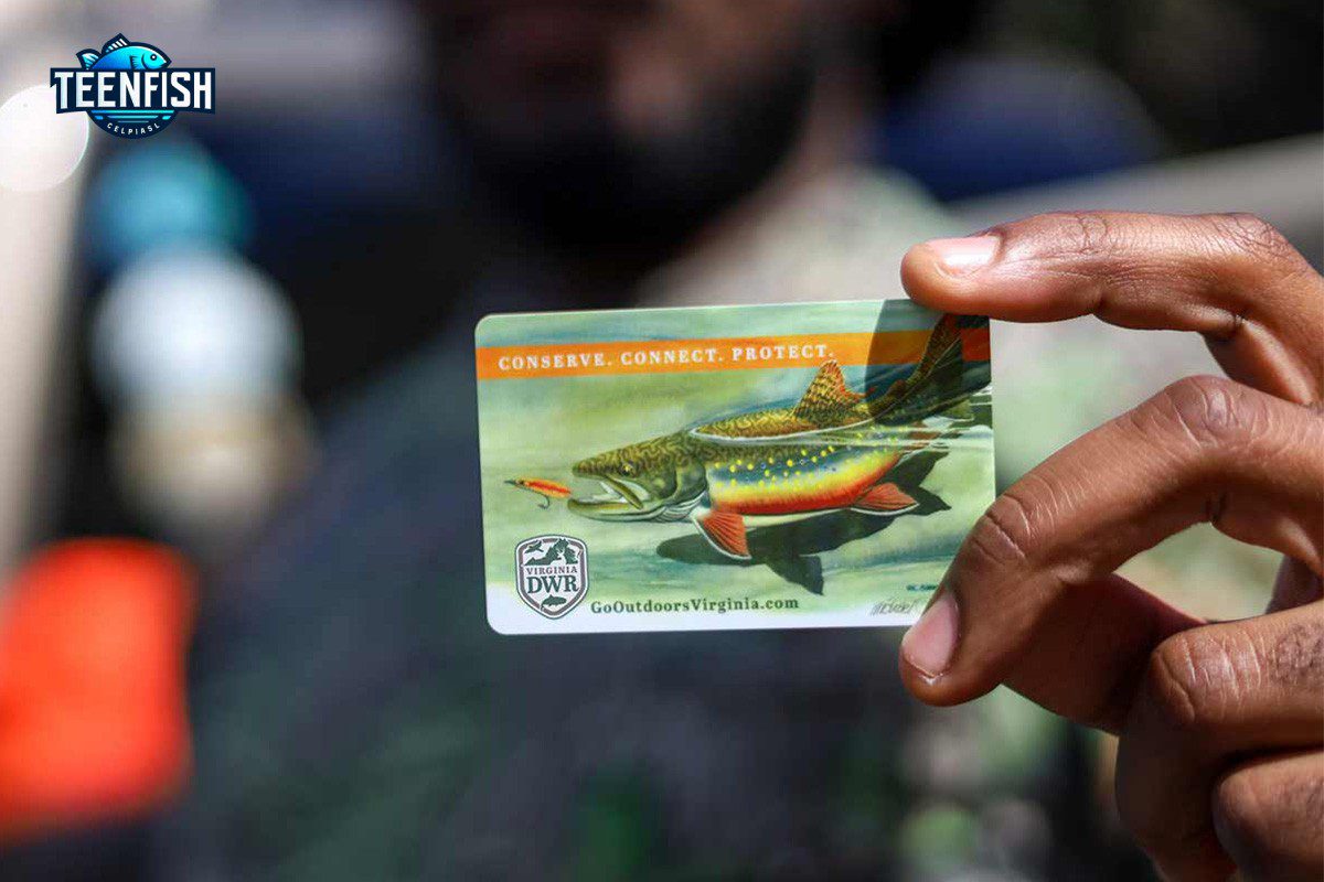 Fishing License Violations in California