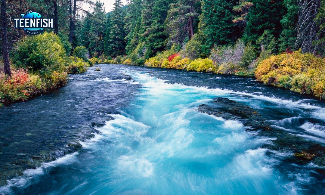 Metolius River