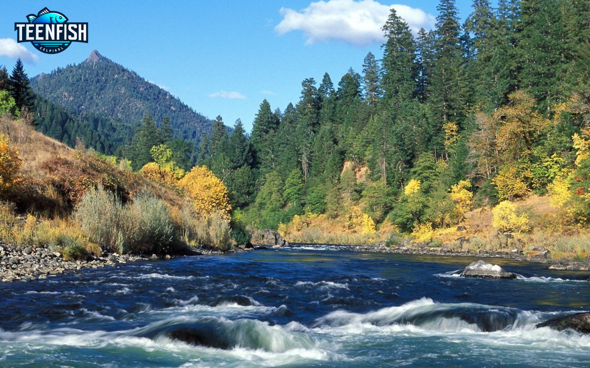 Rogue River