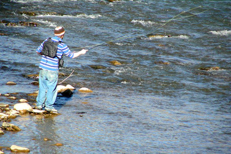 Scenic New Mexico Fishing Spot