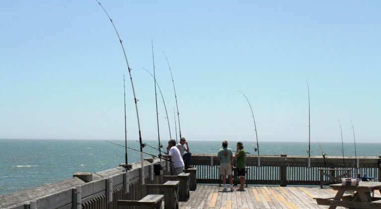 South Carolina Saltwater Fishing