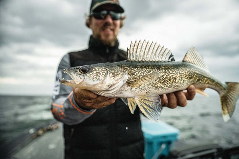 Walleye Fishing on Buffalo Lake