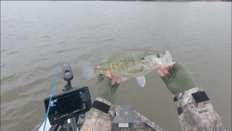 Arkansas Crappie Fishing