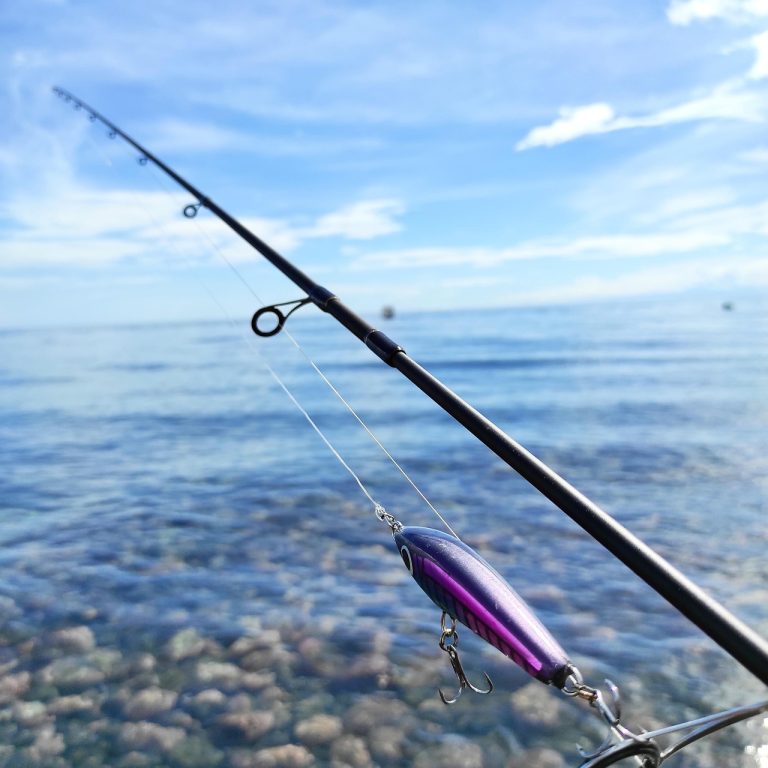 Bass Pro vs Walmart Fishing Licenses