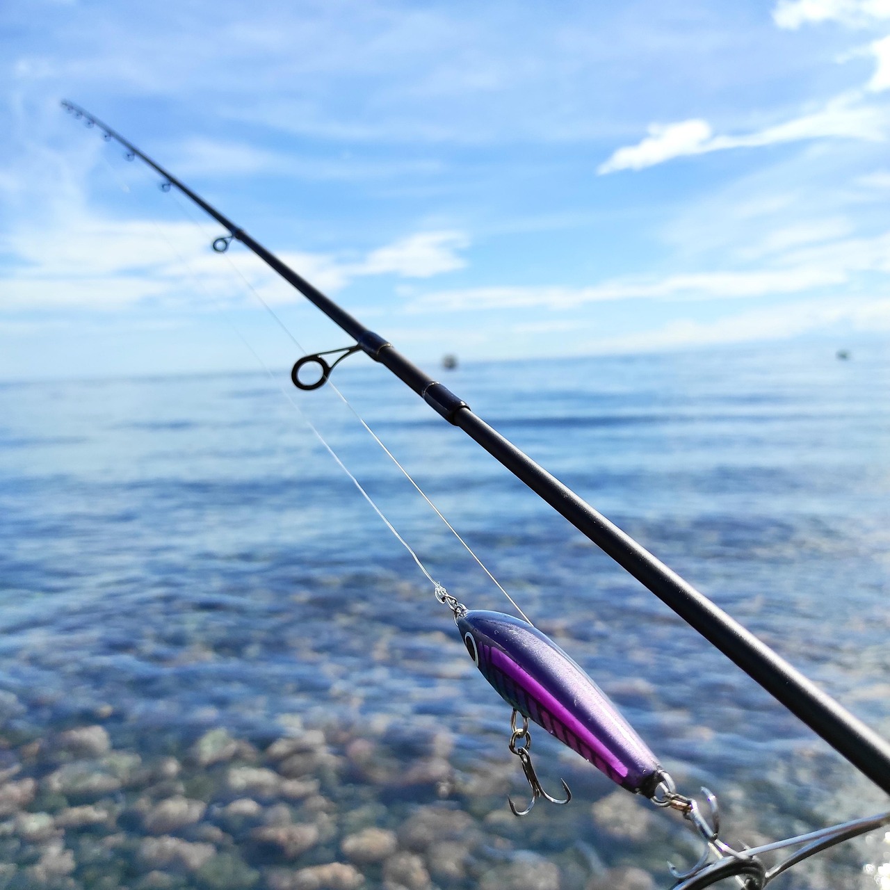 Bass Pro vs Walmart Fishing Licenses