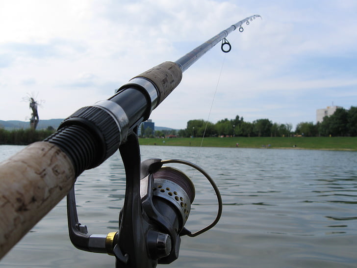 Catch Alabama's Inshore Trio