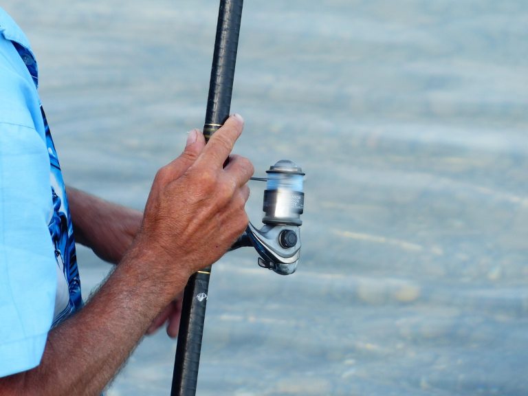 Colorado Disabled Fishing License Guide