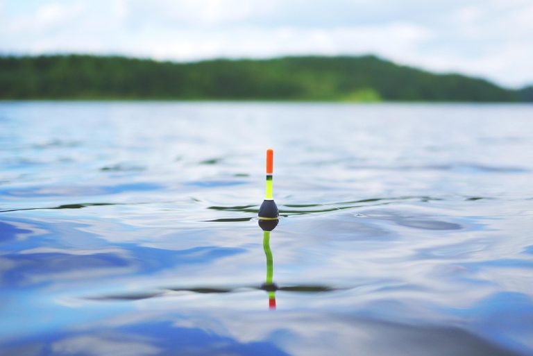 Fishing License Costs