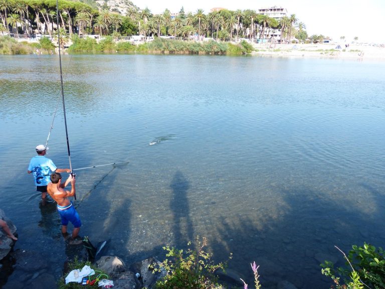 Florida Redfish Seasons and Regulations