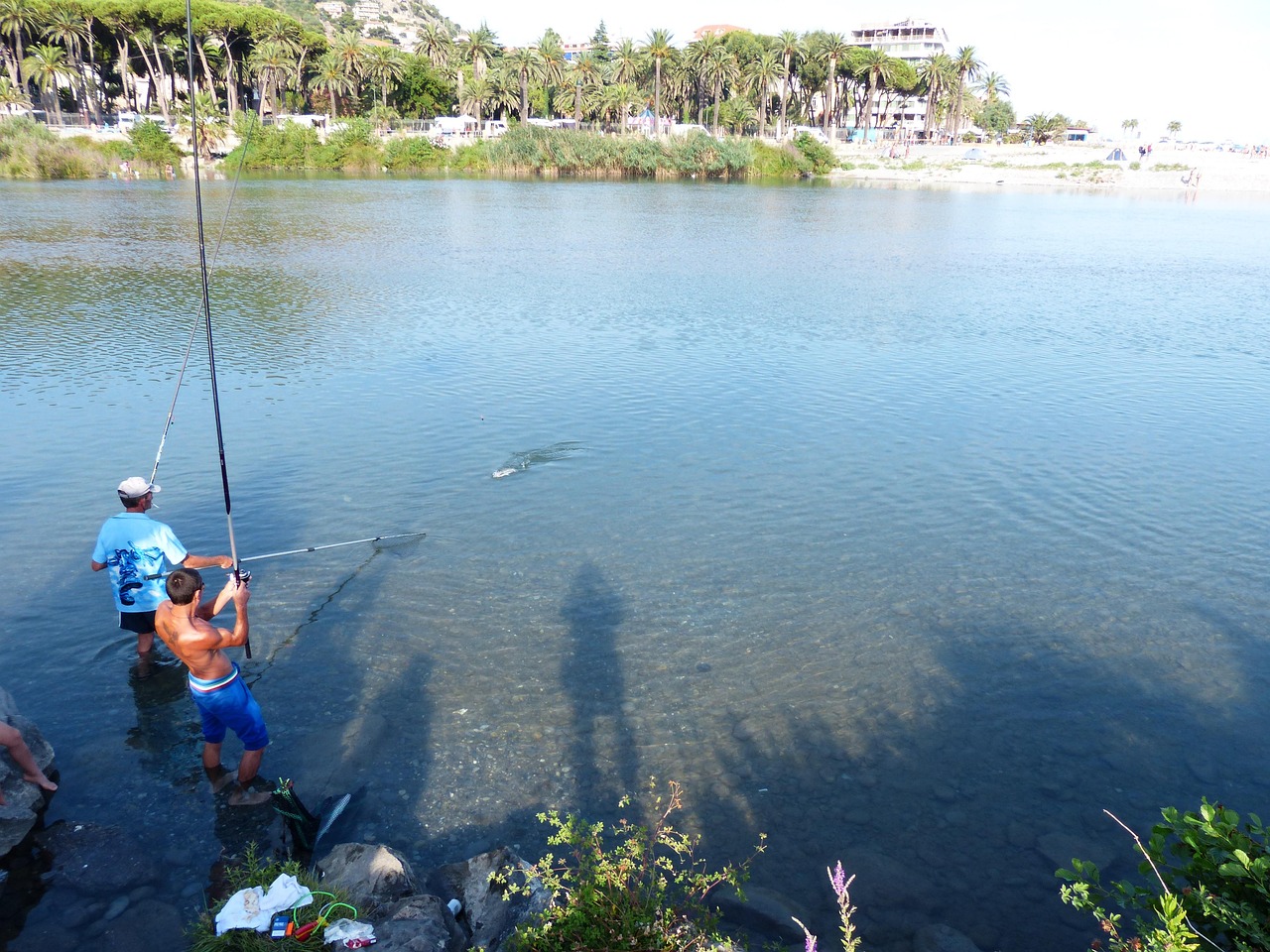 Florida Redfish Seasons and Regulations