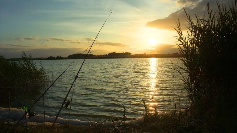 Illinois License Exemption Days Calendar of Free Fishing Weekends for Chicago Residents