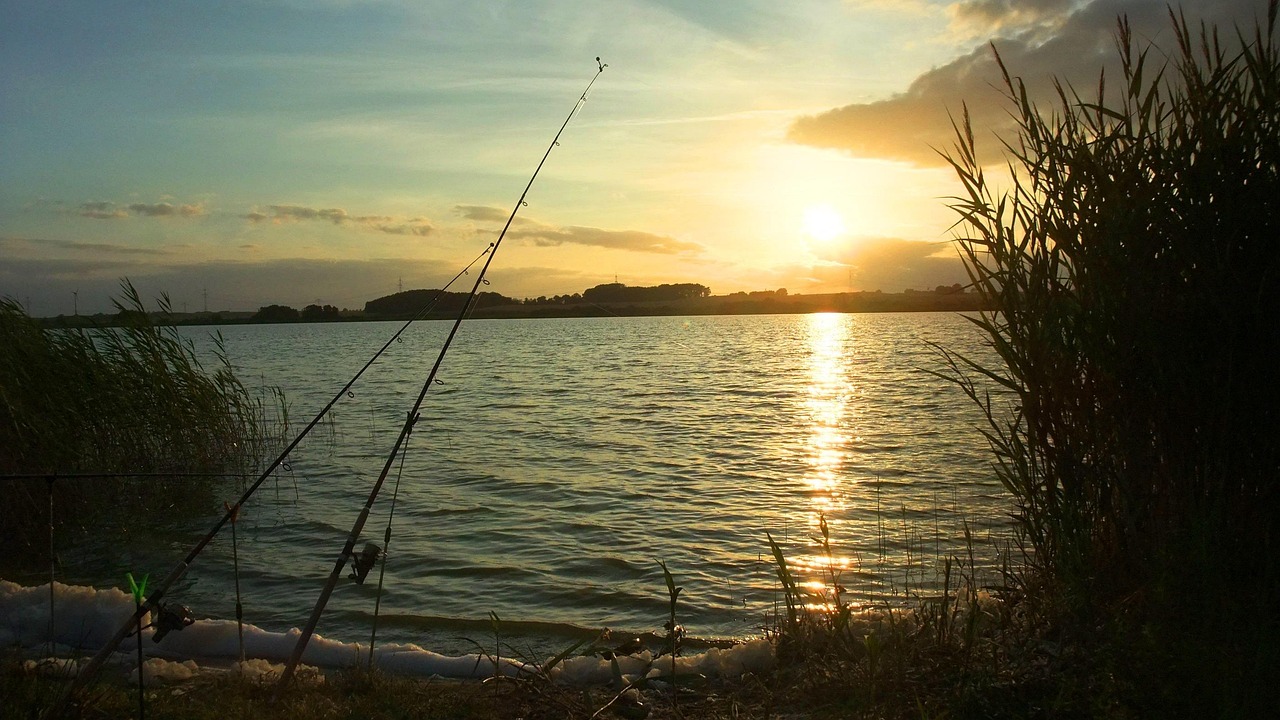Illinois License Exemption Days Calendar of Free Fishing Weekends for Chicago Residents