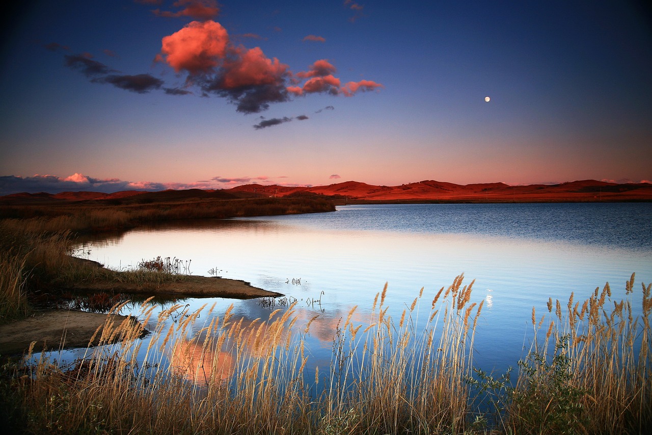 Lake George Fishing License