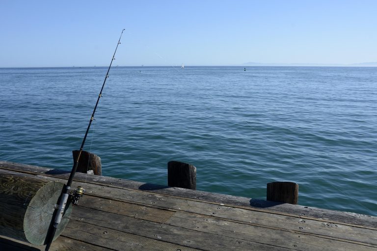 Manitoba Fishing Licenses