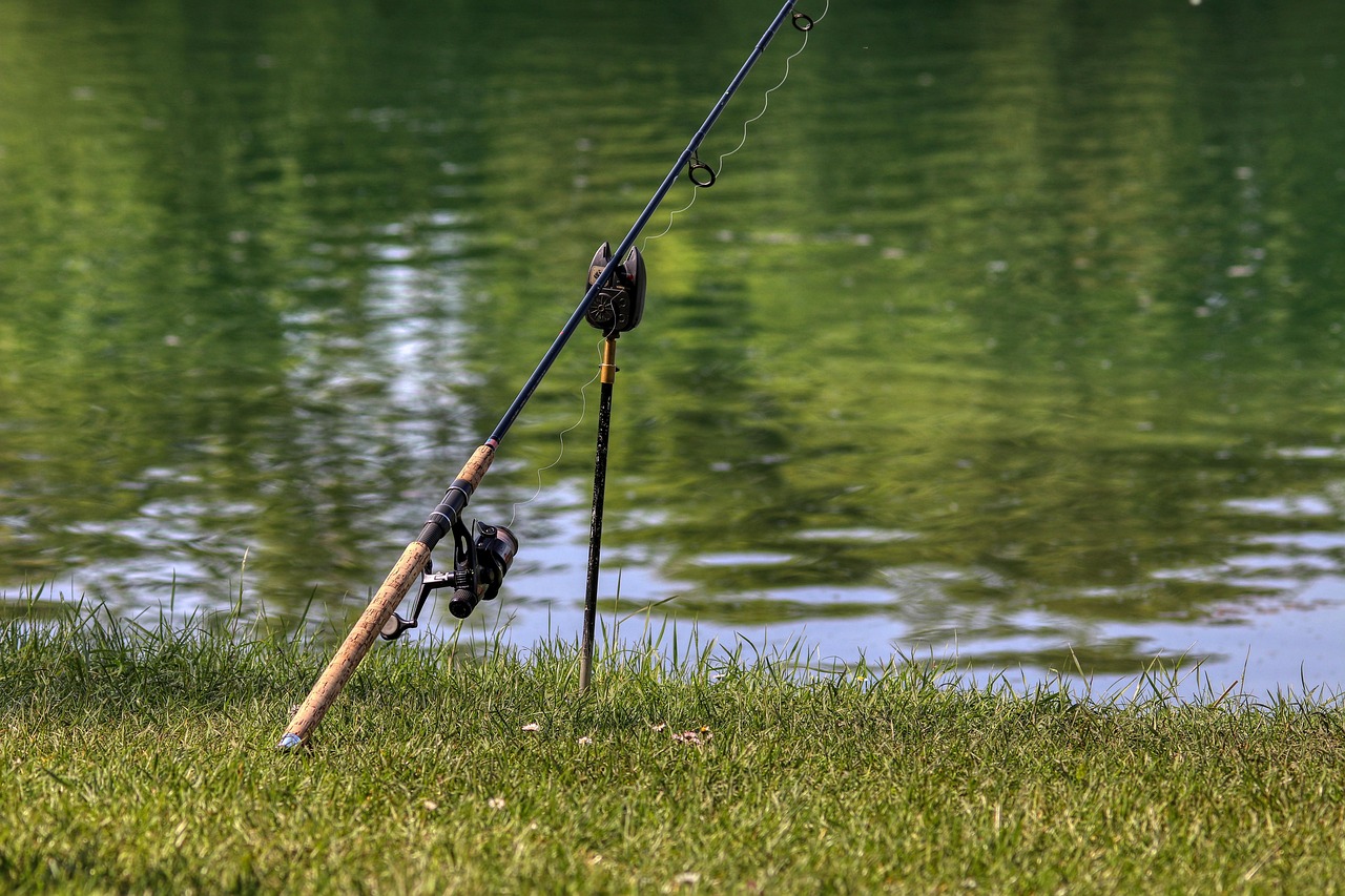 Michigan Illinois Reciprocal Fishing