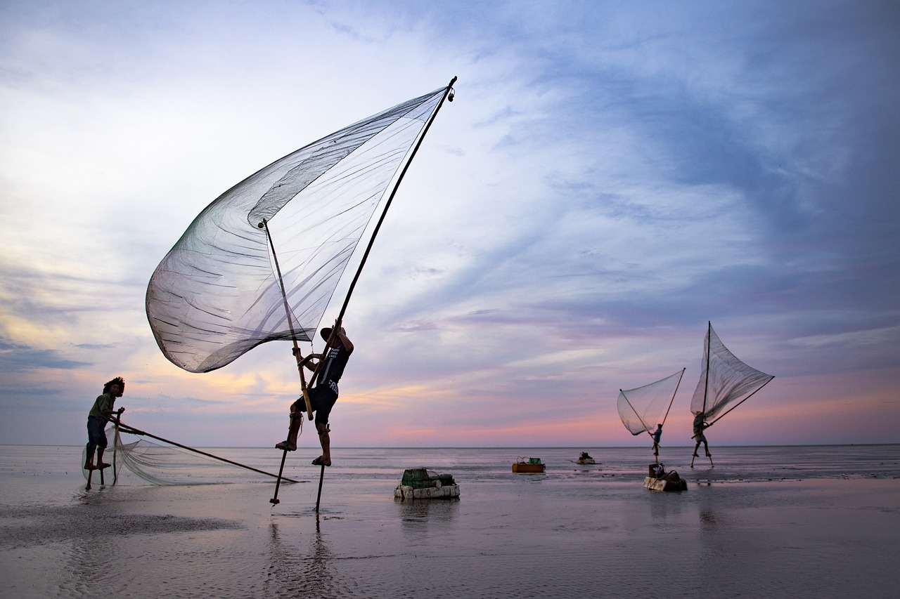 NY Fishing License Payments & Documents