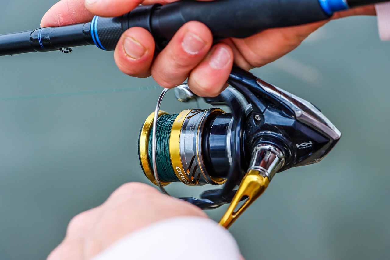 NY Fishing Licenses