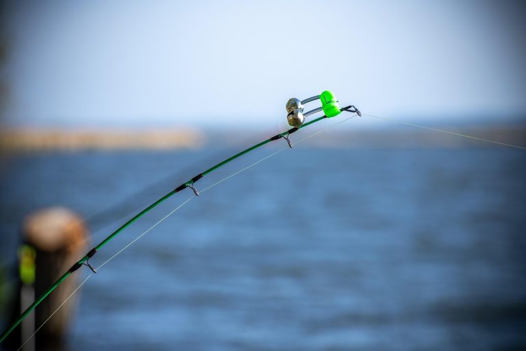 NY Saltwater Fishing License