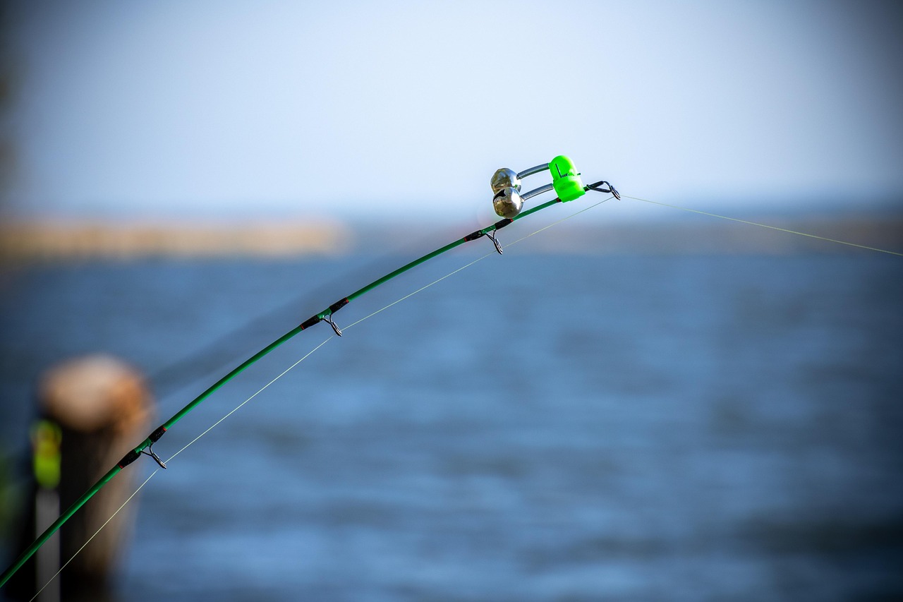 NY Saltwater Fishing License