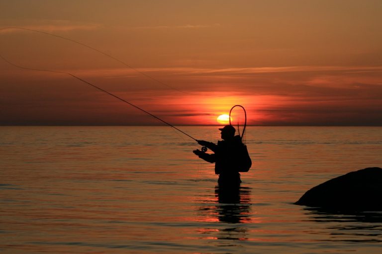 NY Senior Fishing License