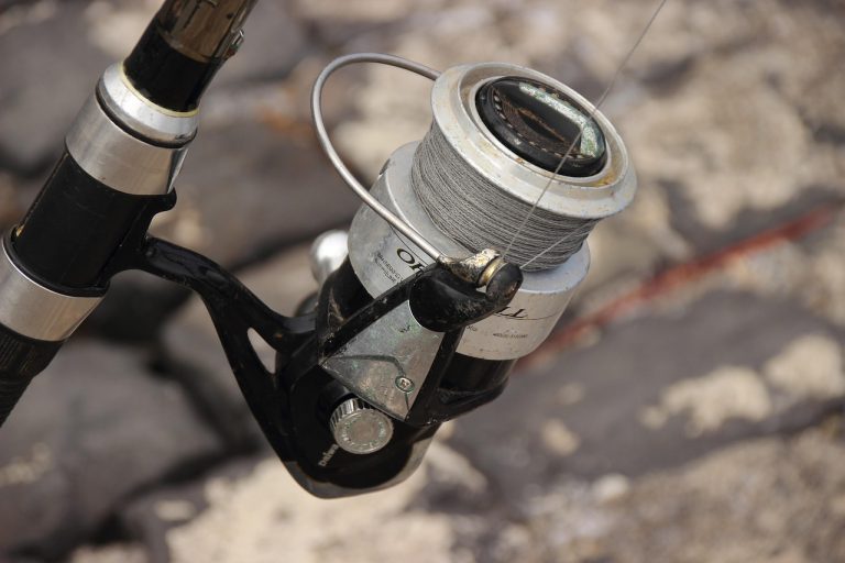 New York Freshwater vs Saltwater Fishing License System