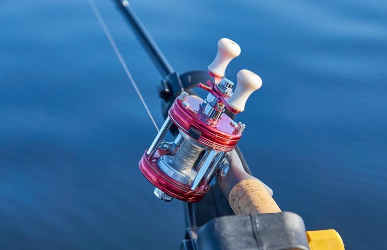 One Day Texas Fishing License Digital Delivery