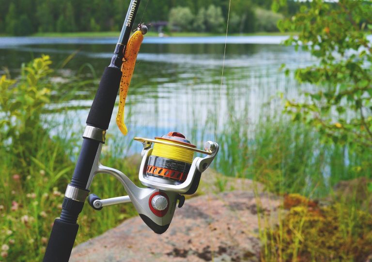 Regional Fishing License & Permit Requirements Map for New York