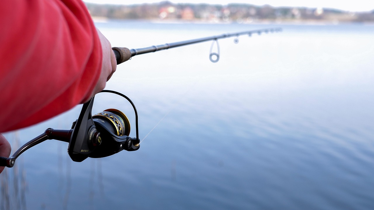 Senior Fishing License Discounts by State