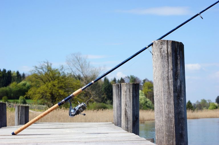 Texas 5 Day Non Resident Fishing License
