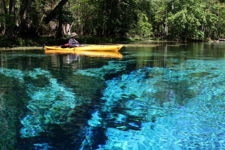 Blue Springs Fishing