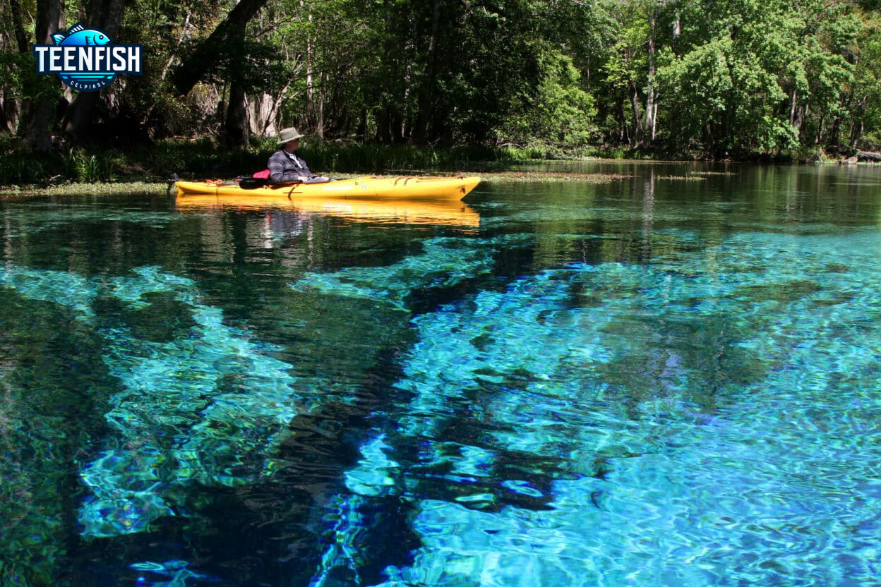 Blue Springs Fishing