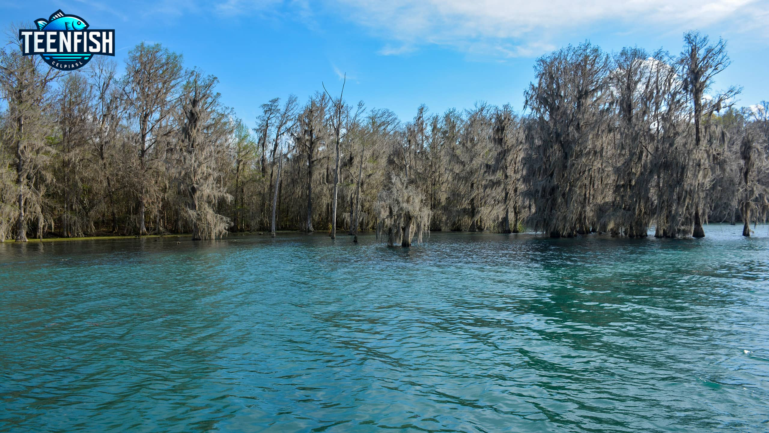 Fishing at Merritt's Mill Pond