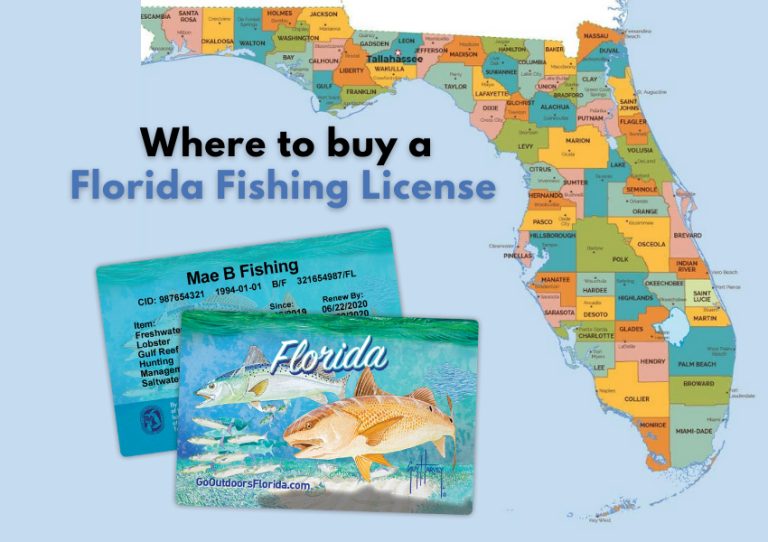 Fishing License in Florida