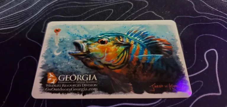 Fishing License in Georgia