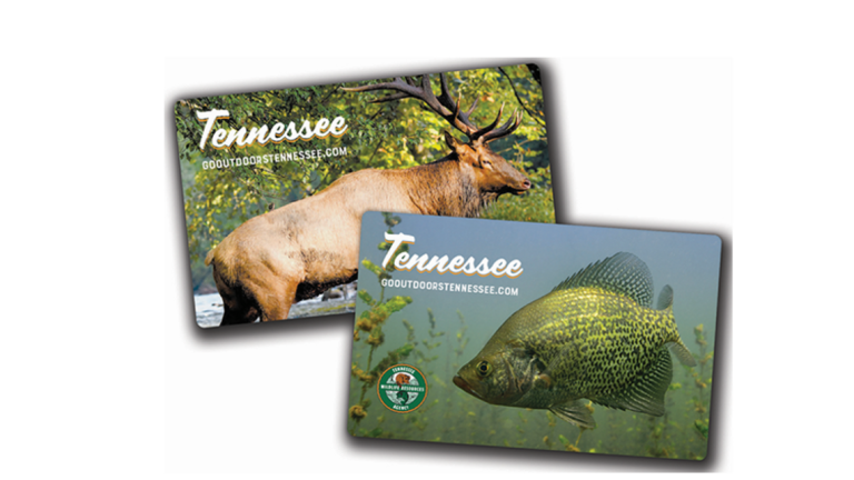 Fishing License in Tennessee