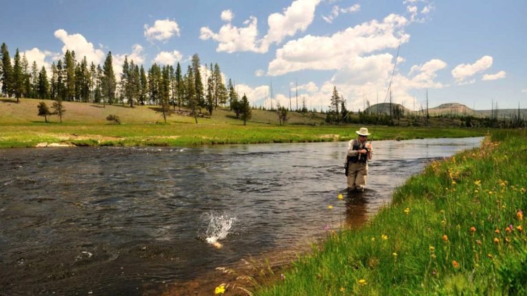 Fishing License in Wyoming